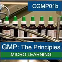 Certification Training cGMP: The Principles of GMP (Fundamentals)
