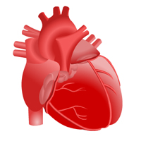 Congenital Heart Disease: Two Course Suite Certification Training