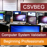 Computer Software Validation for Beginning Professionals Certification Training