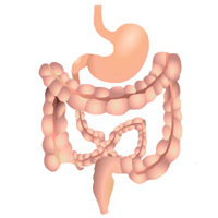 Irritable Bowel Syndrome (IBS): Cause Certification Training