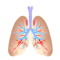Non-small Cell Lung Cancer (NSCLC): Three Course Suite Certification Training