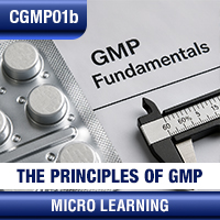 Certification Training cGMP: The Principles of GMP (Fundamentals)